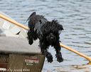 20140816-awd-0538