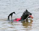 20140816-awd-0577