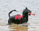 20140816-awd-0578