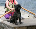 20140816-awd-0629