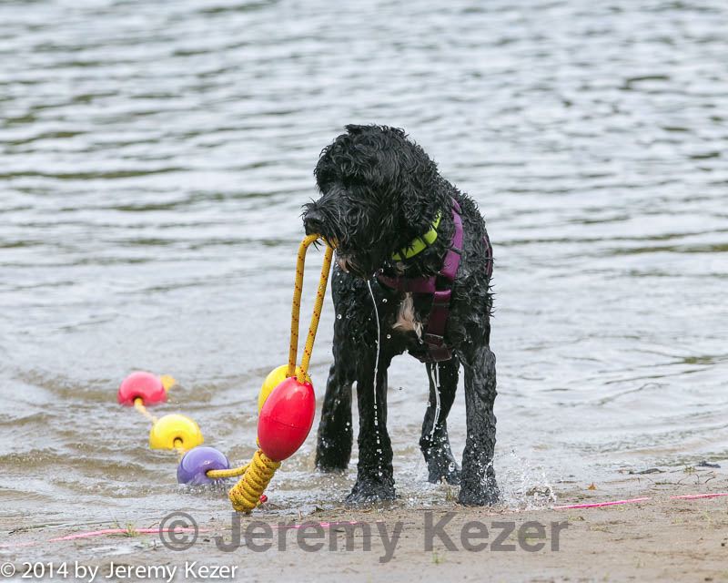 20140816-awd-0144.jpg