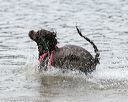 20140816-cwd-0015