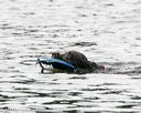 20140816-cwd-0024