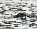20140816-cwd-0025
