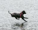 20140816-cwd-0037