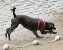 20140816-cwd-0044
