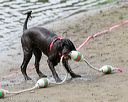 20140816-cwd-0045
