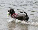 20140816-cwd-0052