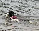 20140816-cwd-0058