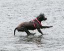 20140816-cwd-0094