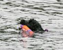20140816-cwd-0155