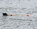 20140816-cwd-0166