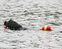 20140816-cwd-0215