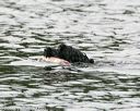 20140816-cwd-0230