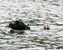 20140816-cwd-0236