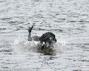 20140816-cwd-0243