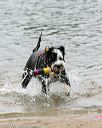 20140816-cwd-0269