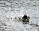 20140816-cwd-0277