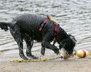 20140816-cwd-0299