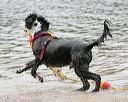 20140816-cwd-0301