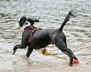 20140816-cwd-0302