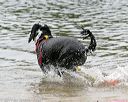 20140816-cwd-0305