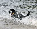 20140816-cwd-0310