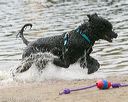 20140816-cwd-0364