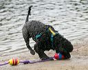 20140816-cwd-0369