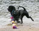 20140816-cwd-0372