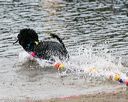 20140816-cwd-0378