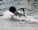20140816-cwd-0379