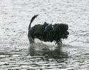 20140816-cwd-0392