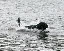 20140816-cwd-0393