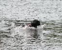 20140816-cwd-0437