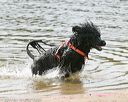 20140816-cwd-0442