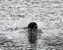 20140816-cwd-0484