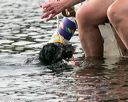 20140816-cwd-0486