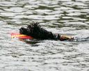20140816-cwd-0528
