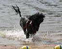 20140816-cwd-0537