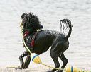 20140816-cwd-0544