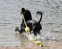 20140816-cwd-0547