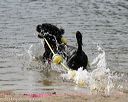 20140816-cwd-0549