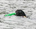 20140816-cwd-0566