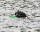20140816-cwd-0569