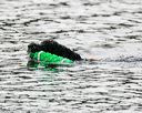 20140816-cwd-0573