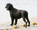 20140816-cwd-0615