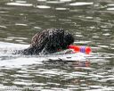 20140816-cwd-0622