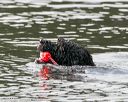 20140816-cwd-0625