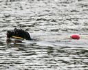 20140816-cwd-0632